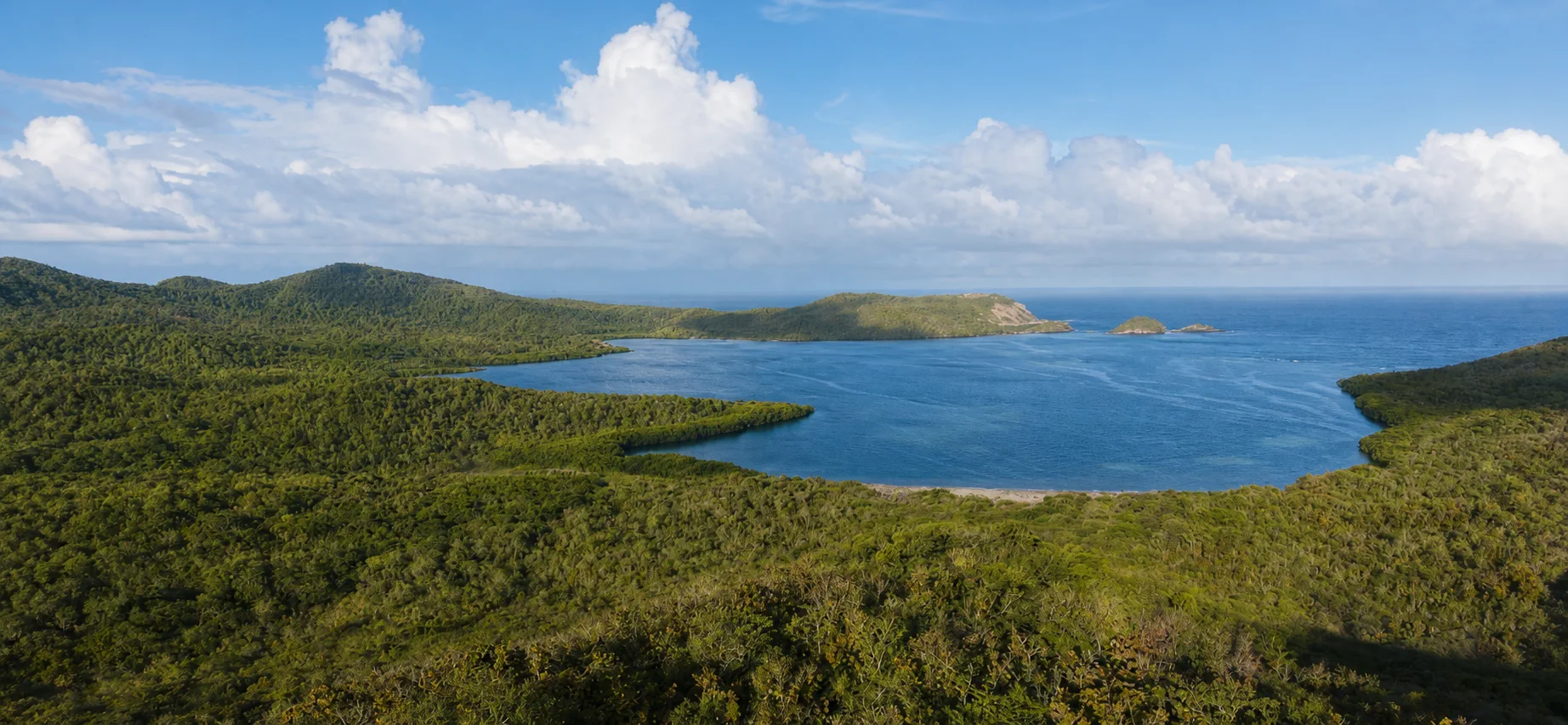 Baie naturelle verdoyante de Martinique photographiée par drone