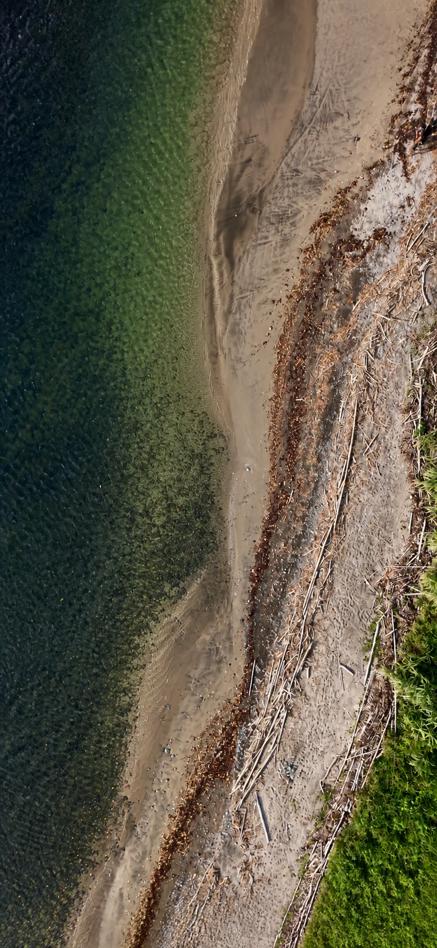 Plage et vagues de Martinique photographiées à la verticale par drone