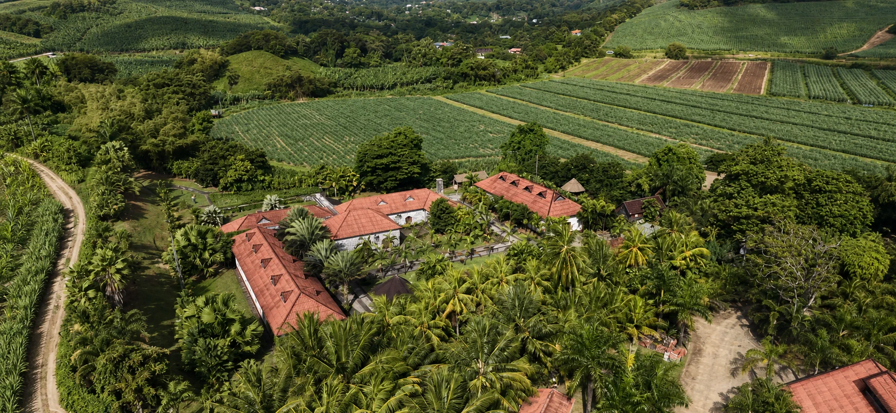 Domaine agricole et reliefs de Martinique photographiés par drone