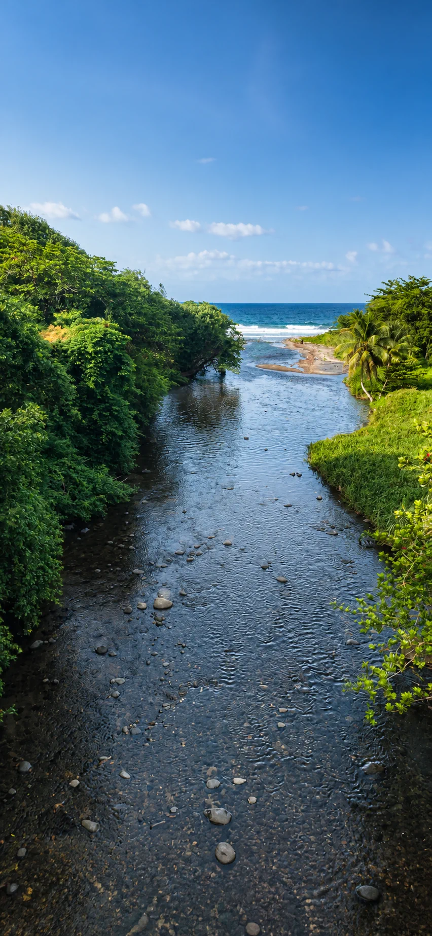 Embouchure d’une rivière vers la mer en Martinique vue par drone